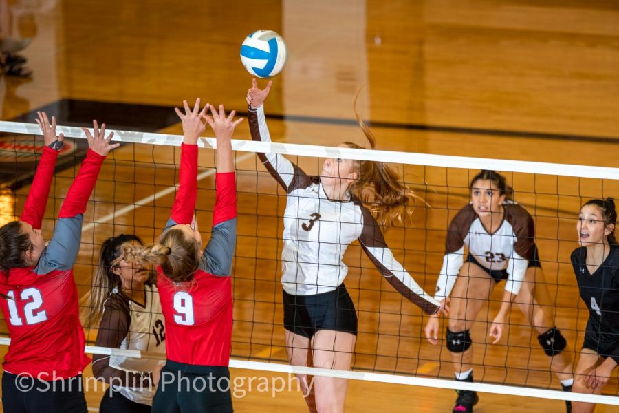 Abby Ellermenn taps the ball over the net to score against Liberal in the WAC championship.